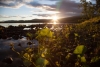 Traumhafte Abendstimmung am Fluss