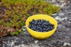 Blaubeeren versüssen unser Müesli zum Frühstück